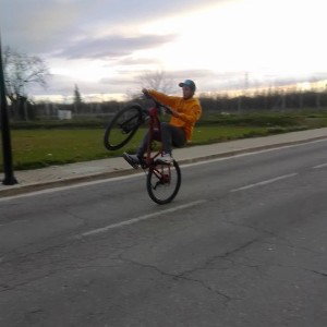 Rider