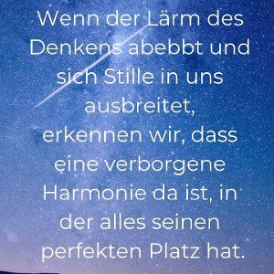 Zarrazza- Harmonie Februar 2021