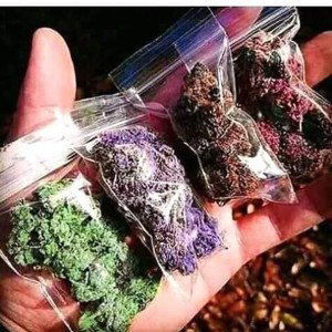 Stoner's Music 