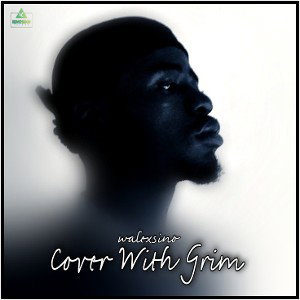 Cover With Grim