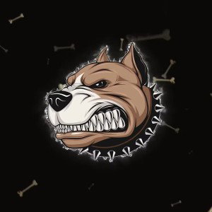Dark Type Beat - K9