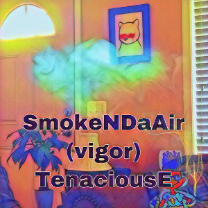 SmokeNDaAir (vigor)