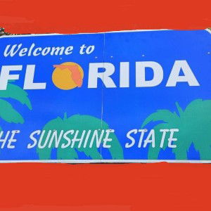 FLA Vibin