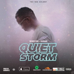 Quiet Storm (prod. Donkayyz)