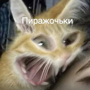 копия меня