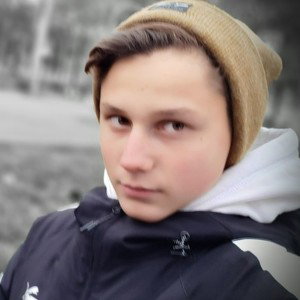 Новый Мерин