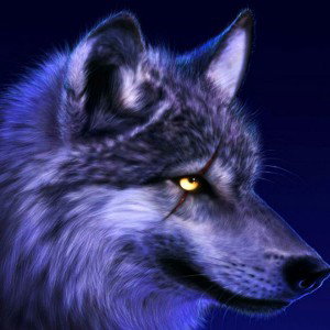 HardB_19-03