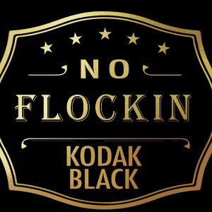 No Flockin Remix
