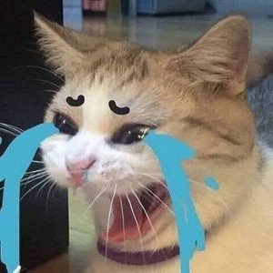 hát 2