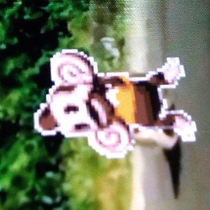package buzz are you gay 