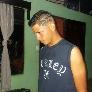 gallo negro
