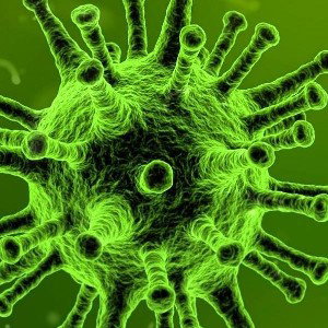 corona virus 