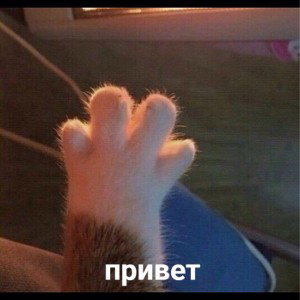Пока