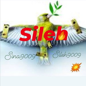 صلح 