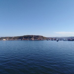 думаю что норм