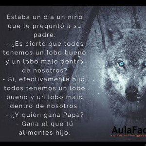 lupus canis 