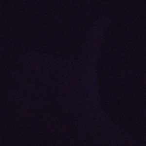 Party