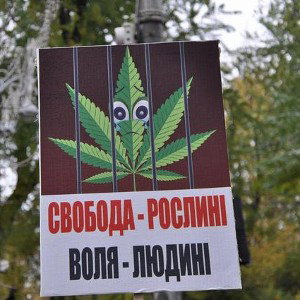 Первое чтиво