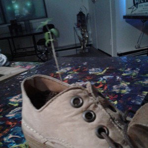 sneaker 