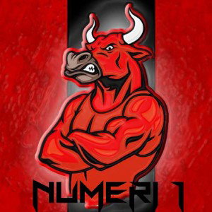 Numeri 1