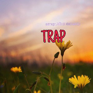 TRAP
