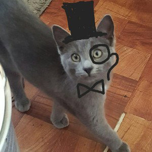 Hello My Friend