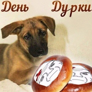 Пэйс