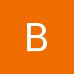 Bdenley singleton palelife ent