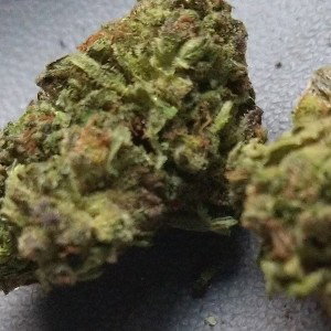 Doobie (CJ - Whoopty Remix)