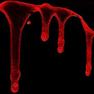 i_s_the_best - Bad Blood(1)