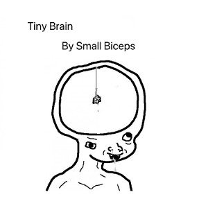 Tiny Brain 