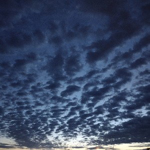 Andrew- Free Tonight