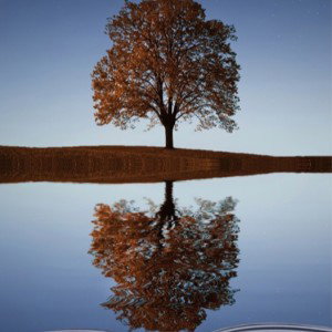 Reflection 