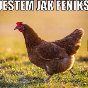 LuKa - diss na feniksa 
