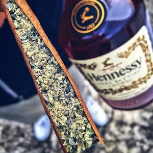 henny & kush im verse 4 