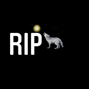 RIP FRERO