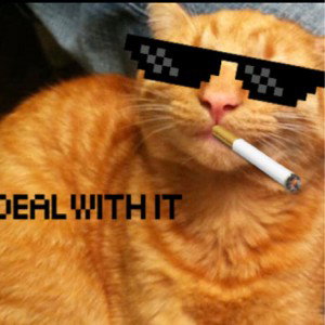 Anxietyی