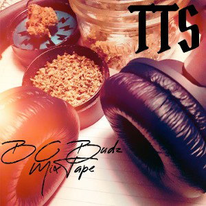 TTS Cabin Mix