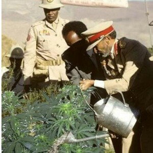 Omegga - Kush (No Bush) Mix 3