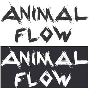 SPONTAN FLOW CHALLENGE