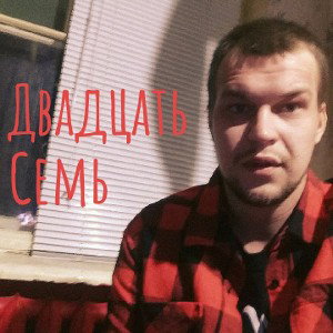 Двадцать семь