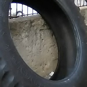 killing them loudly