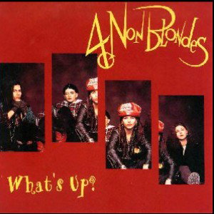 4 NON BLONDES (WHAT’S UP/ft.SHAWN MCCLOUD 