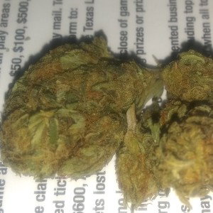 I smoked a blunt