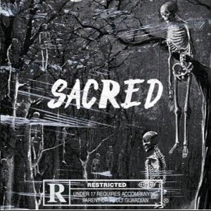 Introspection(Intro) 