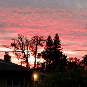 Twilight Tone