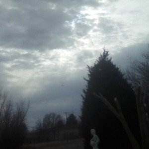  DRAMATIC DRAMA..(GUMBY) F NICK DANGER