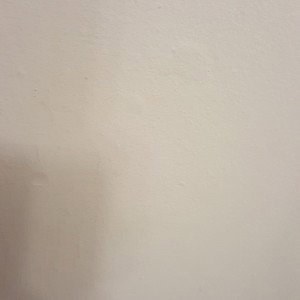 white invertion