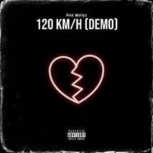 PinkMollyy - 120KMH (Demo)
