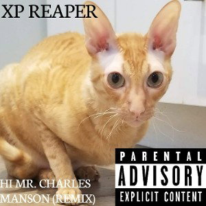 hi mr. charles Manson remix 